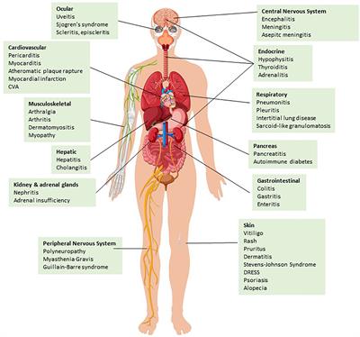 Immune-related adverse effects of checkpoint immunotherapy and implications for the treatment of patients with cancer and autoimmune diseases